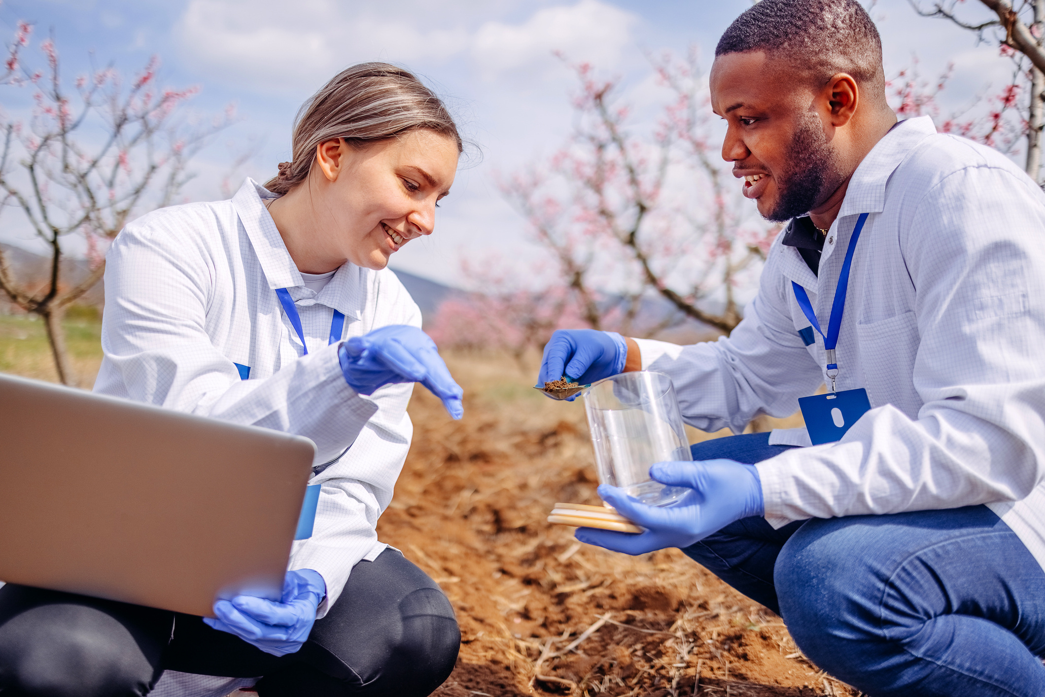 Two researchers in white coats and blue gloves analyze a plant sample outdoors. One holds a clear container, the other a laptop. Blossoming trees and mountains are in the background.